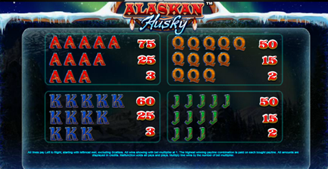 AlaskanHusky5