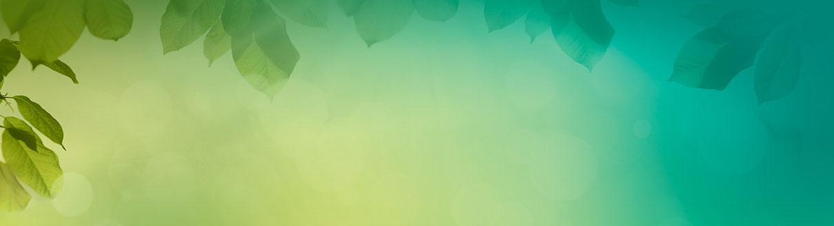 cre-173066-spring-sales-hp-slider-bg-1210x328
