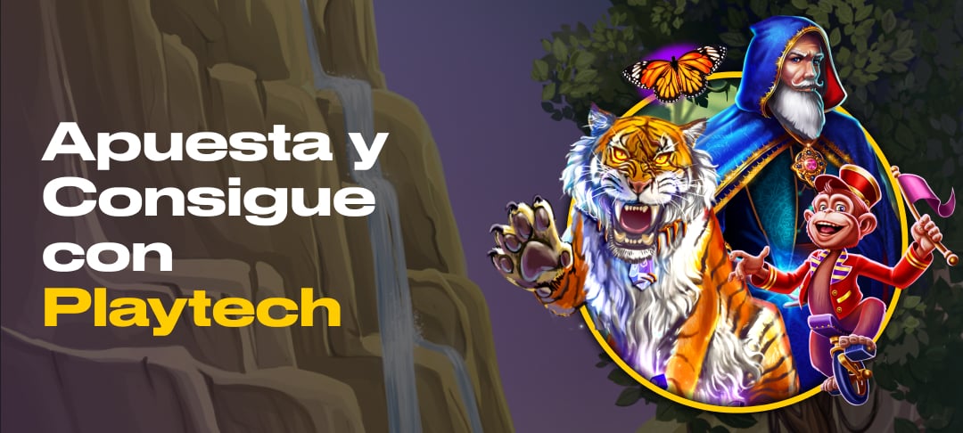 Promoción