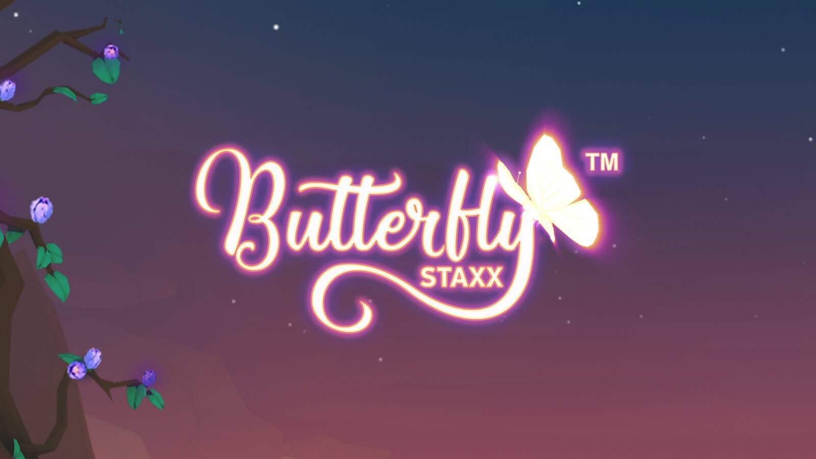 butterfly_staxx-main-teaser-1600x900 2