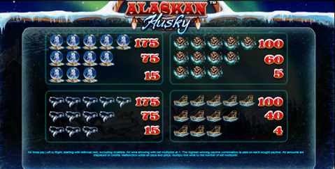 AlaskanHusky4