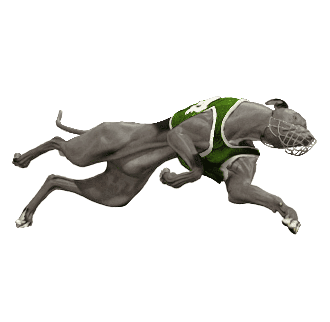 TS-Greyhound