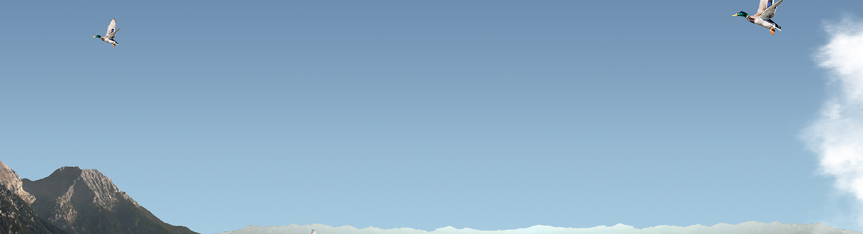 cre-XXXXXX-fb-promo-name-promo-page-background-1210x328
