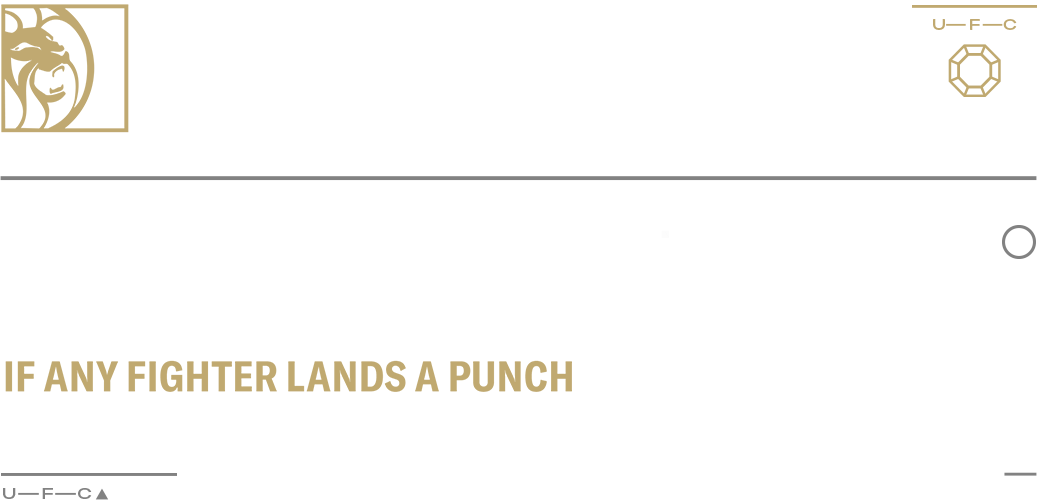 Bet $10 Win $200 If Any Fighter Lands A Punch