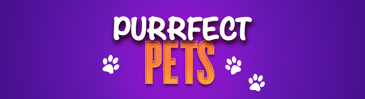 18402 FB 1st Oct Remove Fox Foxys Denpromopagebackground1210x328purfectpets