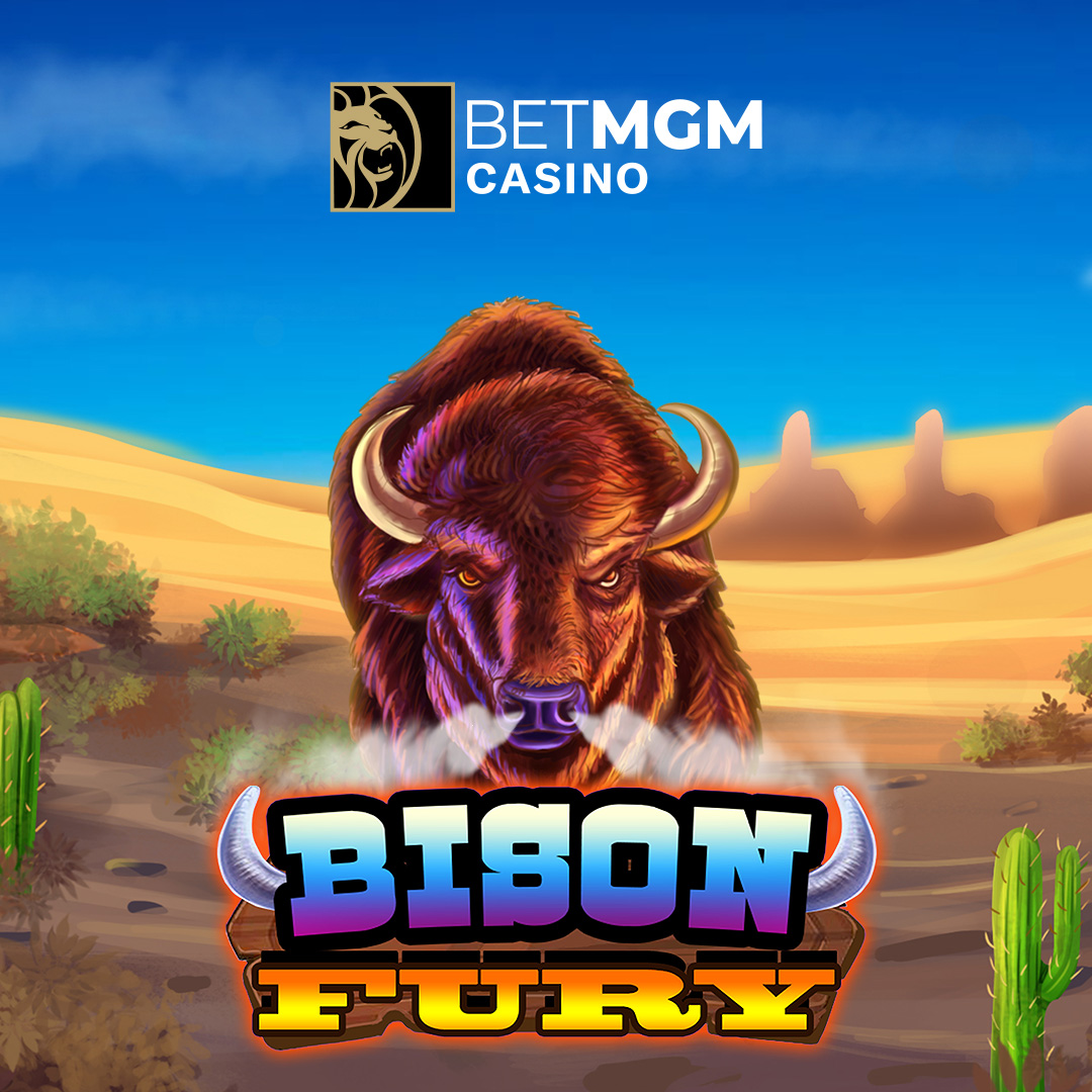 bizon casino